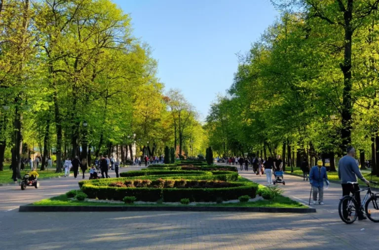 На Івано-Франківщині прогнозують до 30° тепла 25 червня