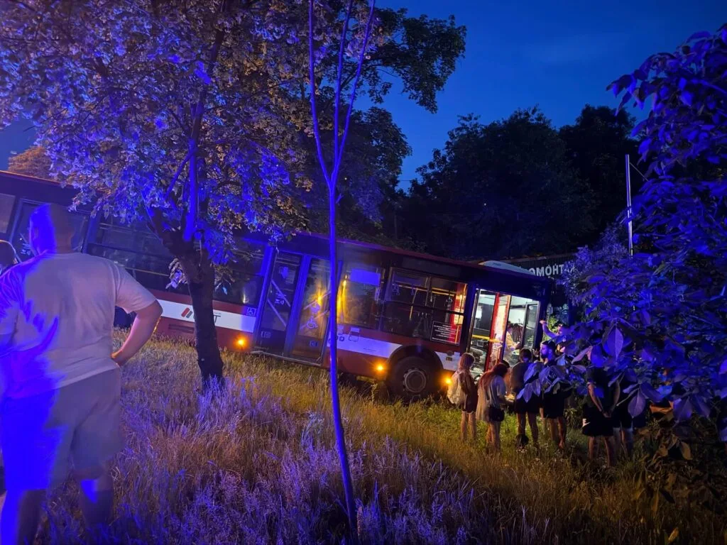 У Пасічній автобус з’їхав з дороги через пішохода