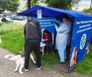В Івано-Франківську проводять безплатну вакцинацію тварин