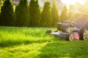 У Франківську не вистачає косарів для догляду за зеленими зонами