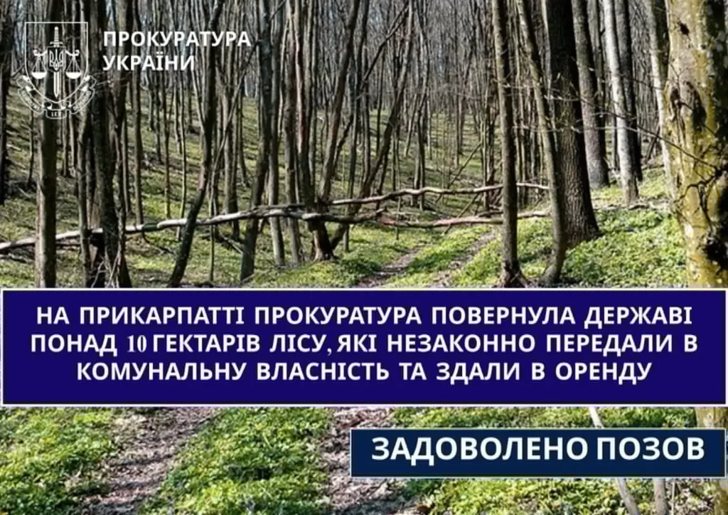 Суд повернув державі 10 га лісу на Прикарпатті