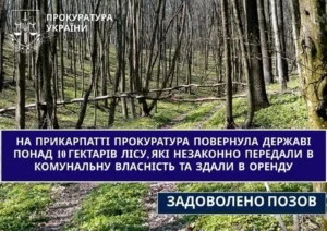 Суд повернув державі 10 га лісу на Прикарпатті