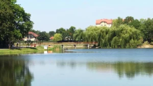 В Івано-Франківську після дощів піднявся рівень води в озері