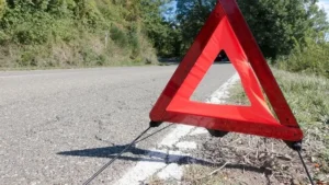 На Львівщині затримали водія після смертельної ДТП і вбивства матері