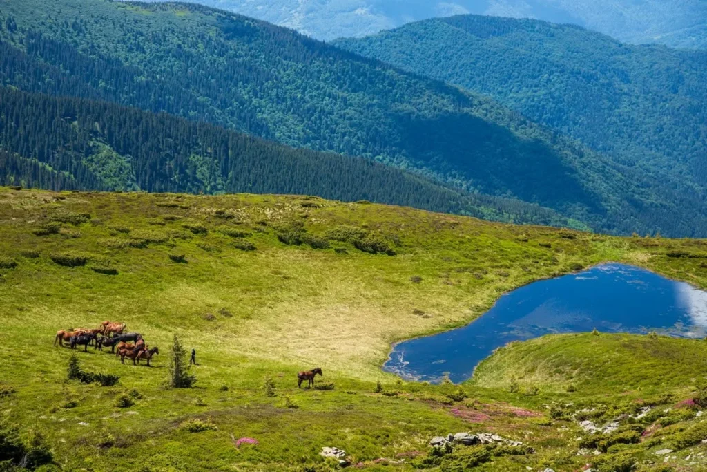 На Івано-Франківщині прогнозують дощі й грози 16 липня