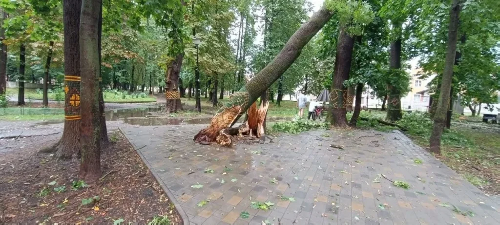 У Коломиї ліквідовують наслідки бурі після зливи
