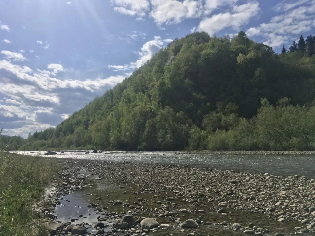 На Івано-Франківщині перевірили Бистрицю: вода нормалізувалася